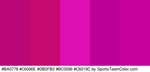 #BA0778 #C6096E #DB0FB2 #BC0096 #C6019C Colors