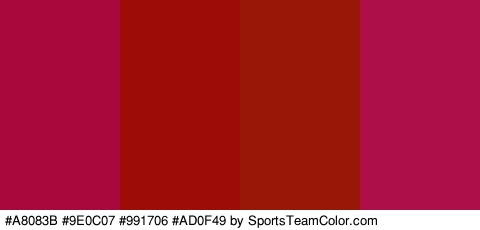 #A8083B #9E0C07 #991706 #AD0F49 Colors