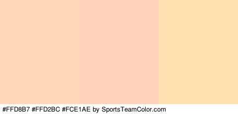 #FFD8B7 #FFD2BC #FCE1AE Colors