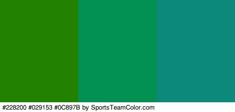 #228200 #029153 #0C897B Colors