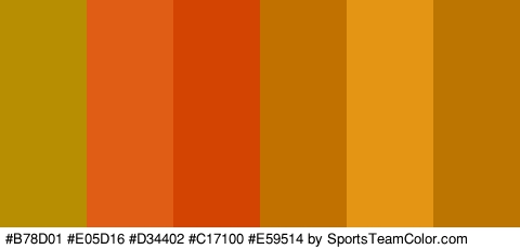 #B78D01 #E05D16 #D34402 #C17100 #E59514 #BC7501 Colors