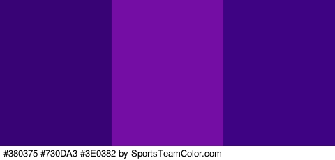 #380375 #730DA3 #3E0382 Colors