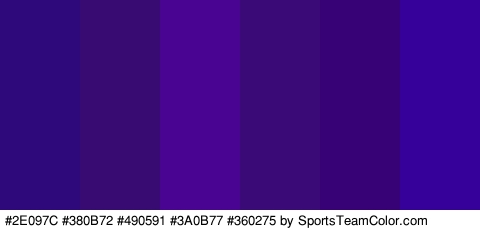 #2E097C #380B72 #490591 #3A0B77 #360275 #36009B Colors