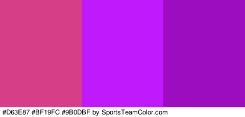 #D63E87 #BF19FC #9B0DBF Colors