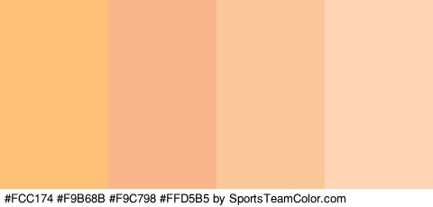 #FCC174 #F9B68B #F9C798 #FFD5B5 Colors