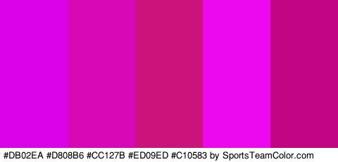 #DB02EA #D808B6 #CC127B #ED09ED #C10583 Colors