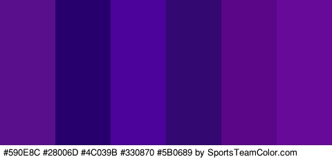 #590E8C #28006D #4C039B #330870 #5B0689 #670A99 Colors