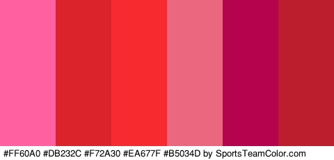 #FF60A0 #DB232C #F72A30 #EA677F #B5034D #BC1E2E Colors