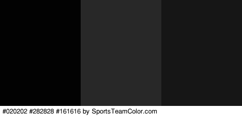 #020202 #282828 #161616 Colors