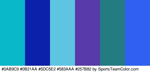 #0AB9C9 #0B21AA #5DC5E2 #583AAA #257B82 #3060F2 Colors