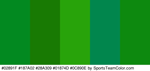 #02891F #187A02 #28A309 #01874D #0C890E Colors