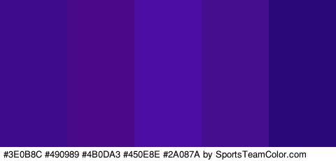 #3E0B8C #490989 #4B0DA3 #450E8E #2A087A Colors