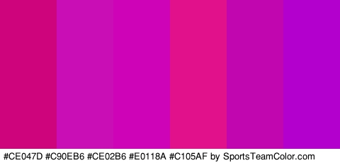 #CE047D #C90EB6 #CE02B6 #E0118A #C105AF #B400CC Colors