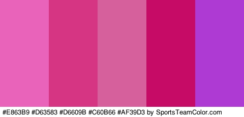 #E863B9 #D63583 #D6609B #C60B66 #AF39D3 Colors