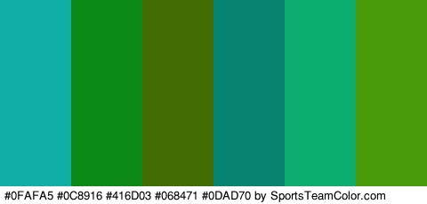 #0FAFA5 #0C8916 #416D03 #068471 #0DAD70 #499B0A Colors