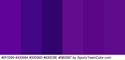 #5F0399 #430684 #33036D #630C8E #5B0587 #5F0C8C Colors