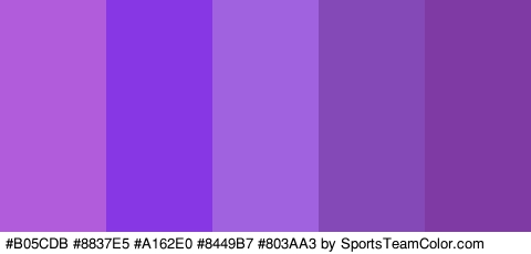 #B05CDB #8837E5 #A162E0 #8449B7 #803AA3 Colors