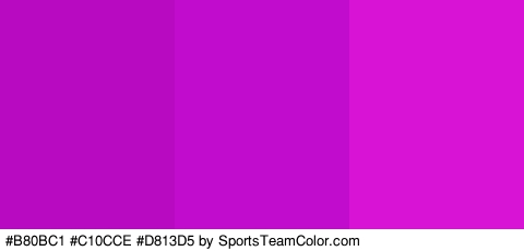 #B80BC1 #C10CCE #D813D5 Colors