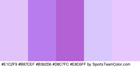 #E1C2F9 #B87CEF #B362D6 #D8C7FC #E8C6FF Colors