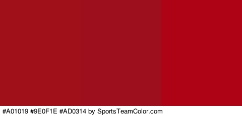 #A01019 #9E0F1E #AD0314 Colors