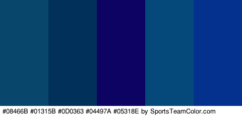 #08466B #01315B #0D0363 #04497A #05318E Colors