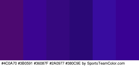 #4C0A70 #3B0591 #36087F #2A0977 #380C9E #3A0293 Colors