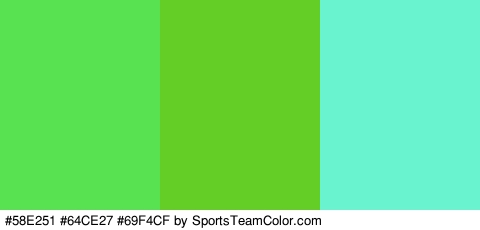 #58E251 #64CE27 #69F4CF Colors