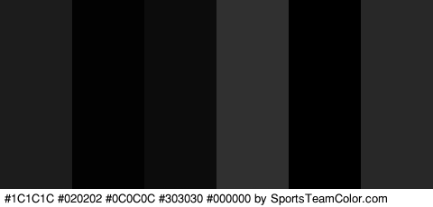 #1C1C1C #020202 #0C0C0C #303030 #000000 #282828 Colors