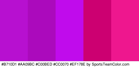 #B710D1 #AA09BC #C00BED #CC0070 #EF178E Colors