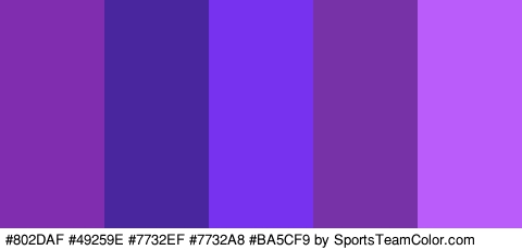 #802DAF #49259E #7732EF #7732A8 #BA5CF9 Colors