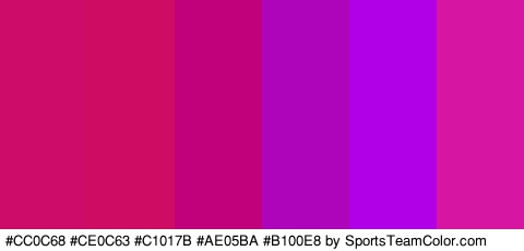 #CC0C68 #CE0C63 #C1017B #AE05BA #B100E8 #D615A2 Colors