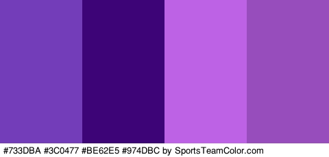 #733DBA #3C0477 #BE62E5 #974DBC Colors