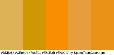 #DDB256 #CE9804 #F98E02 #E59E3B #EA9217 Colors