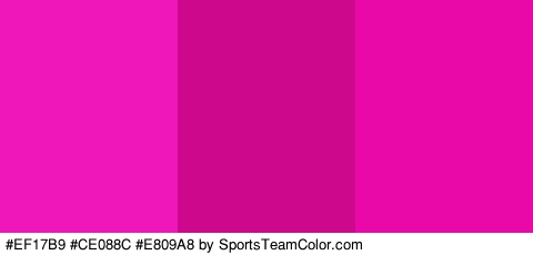 #EF17B9 #CE088C #E809A8 Colors