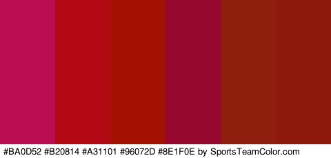 #BA0D52 #B20814 #A31101 #96072D #8E1F0E #8C190C Colors