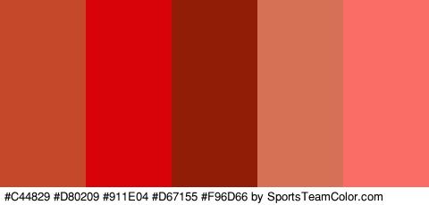 #C44829 #D80209 #911E04 #D67155 #F96D66 Colors