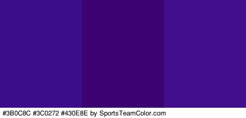 #3B0C8C #3C0272 #430E8E Colors