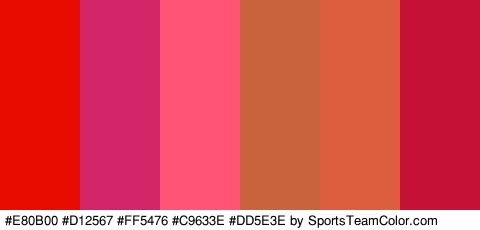 #E80B00 #D12567 #FF5476 #C9633E #DD5E3E #C61136 Colors