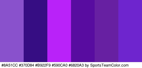 #8A51CC #370D84 #B922F9 #590CA0 #6820A3 #6E25CE Colors