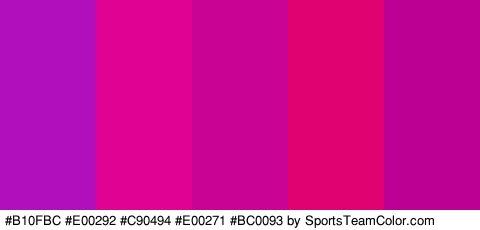 #B10FBC #E00292 #C90494 #E00271 #BC0093 Colors