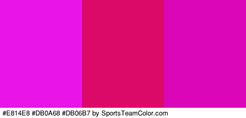 #E814E8 #DB0A68 #DB06B7 Colors