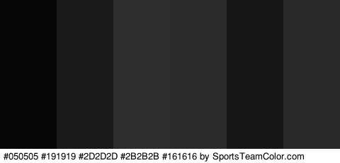 #050505 #191919 #2D2D2D #2B2B2B #161616 #282828 Colors