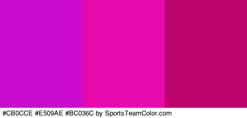 #CB0CCE #E509AE #BC036C Colors