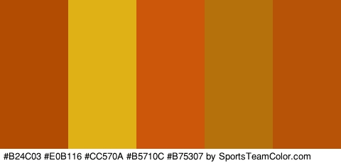 #B24C03 #E0B116 #CC570A #B5710C #B75307 Colors