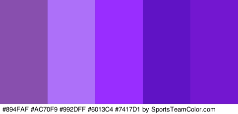 #894FAF #AC70F9 #992DFF #6013C4 #7417D1 Colors