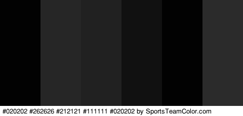 #020202 #262626 #212121 #111111 #020202 #2B2B2B Colors