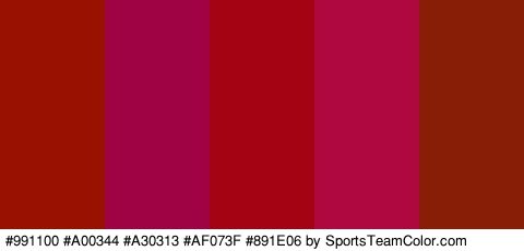 #991100 #A00344 #A30313 #AF073F #891E06 Colors