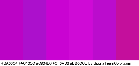 #BA03C4 #AC10CC #C904D3 #CF0AD6 #BB0CCE #C40F9D Colors