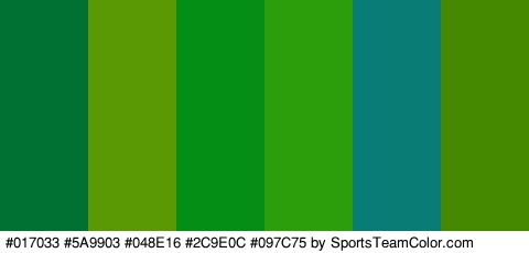 #017033 #5A9903 #048E16 #2C9E0C #097C75 #458901 Colors