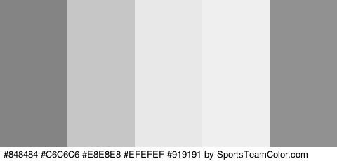 #848484 #C6C6C6 #E8E8E8 #EFEFEF #919191 Colors